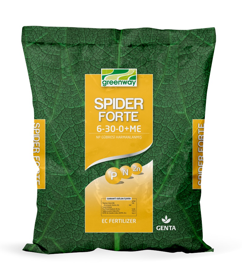 Спайдер форте