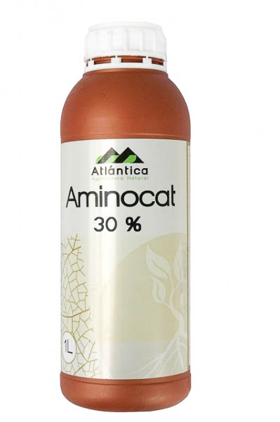 Аминокат 30