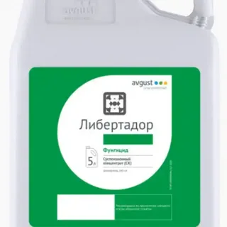 Товар Либертадор СК