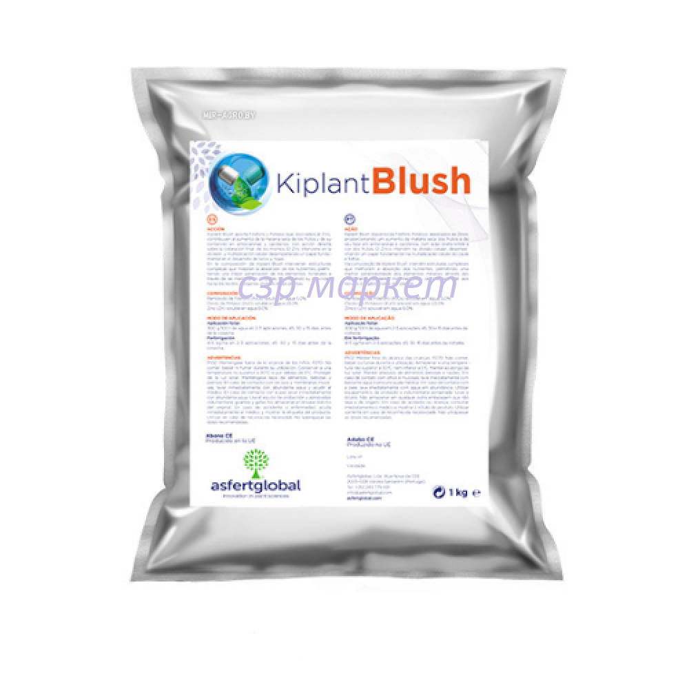 Киплант Блаш. Kiplant Blush AsfertGlobal