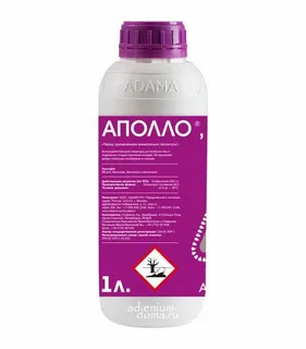 Товар Аполло