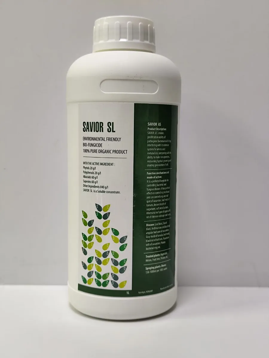 Савиор (Savior AS)