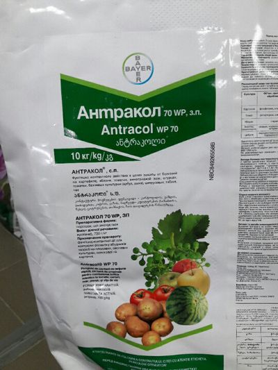 Товар Антракол
