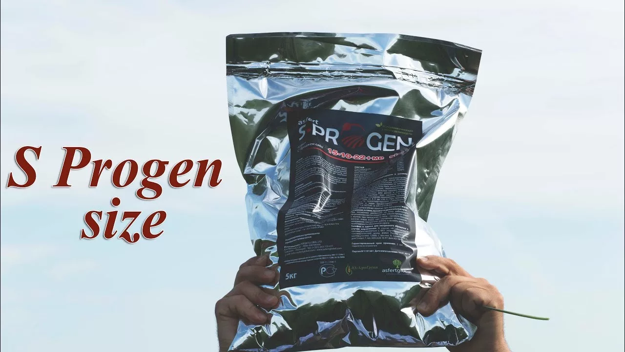 Спроджен Сайз