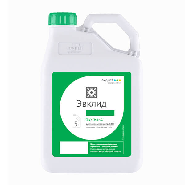 Товар Эвклид