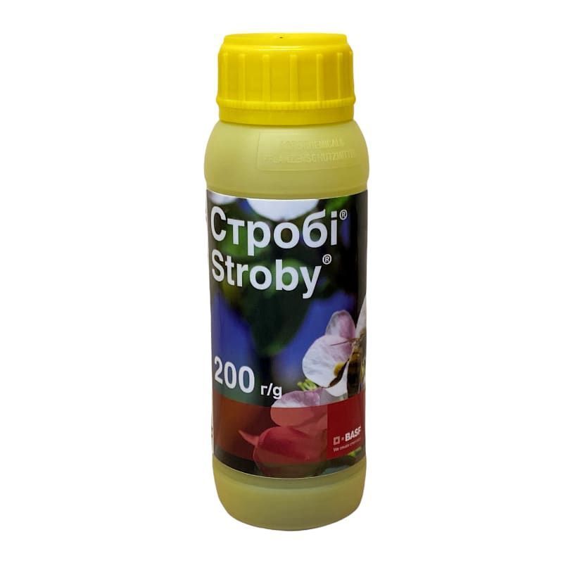 Товар Строби