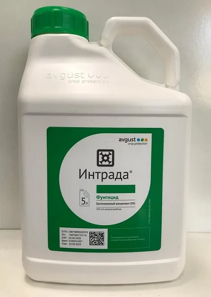 Товар Интрада