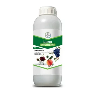 Товар Луна Экспирианс